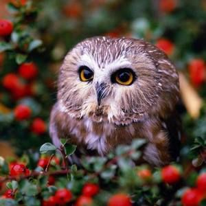 Meet your Posher, Cristina